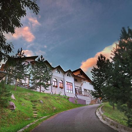 Pensiunea Poiana Verde Slanic-Moldova Bagian luar foto
