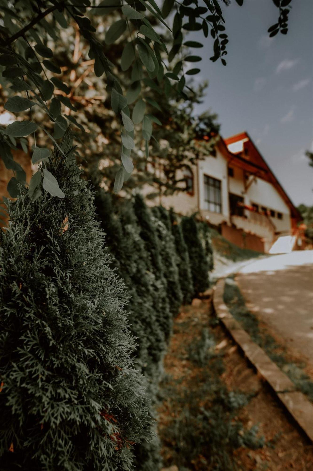 Pensiunea Poiana Verde Slanic-Moldova Bagian luar foto